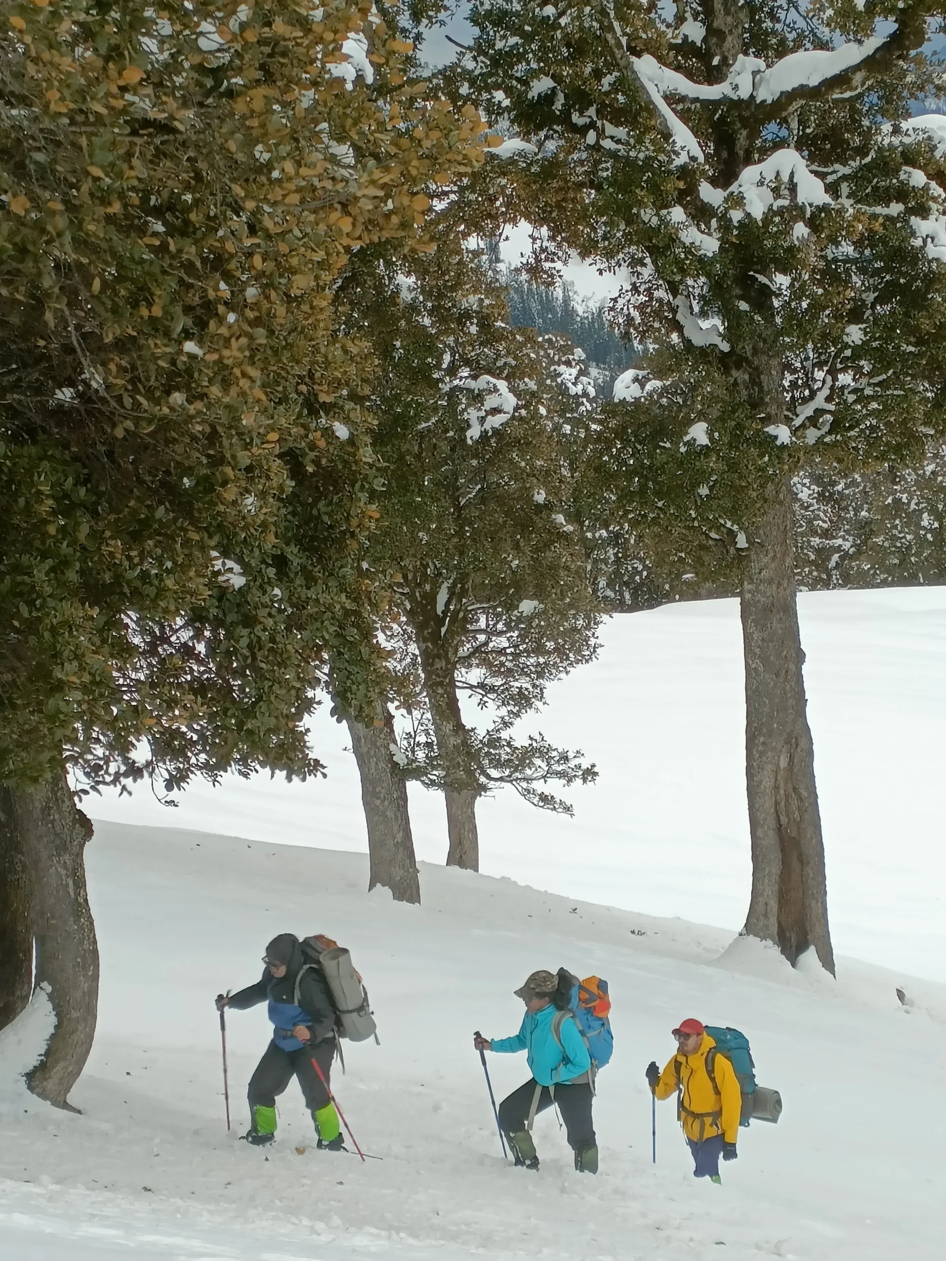 bhrigu lake trek 1