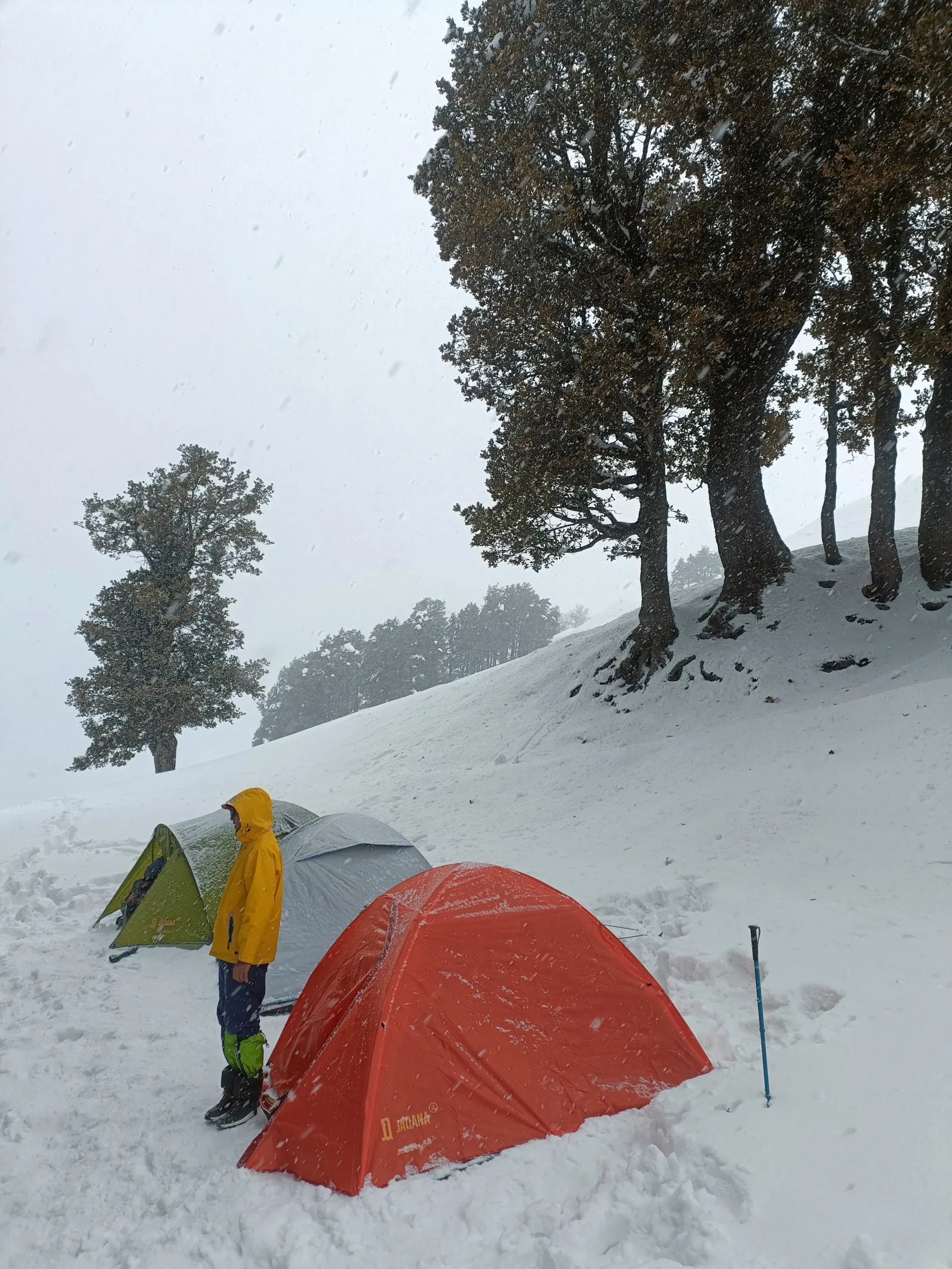 bhrigu lake trek 3